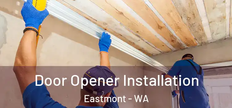 Door Opener Installation Eastmont - WA